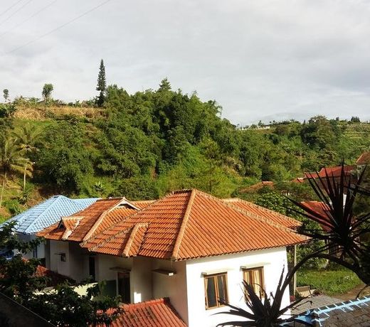 Villa Roemi