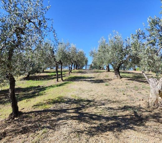Agriturismo Sommassa
