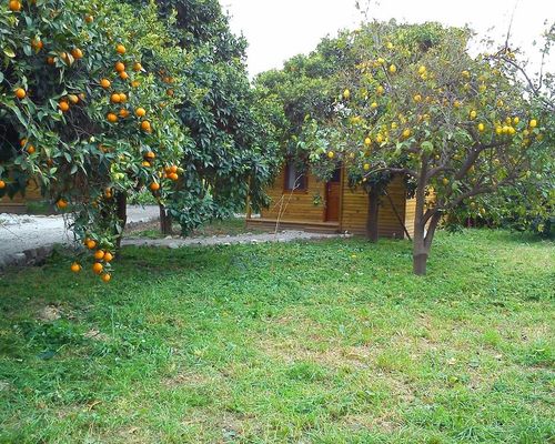 Yesil Bahce Bungalow - Ahsap Evler - Gunlukbasi - фото 12