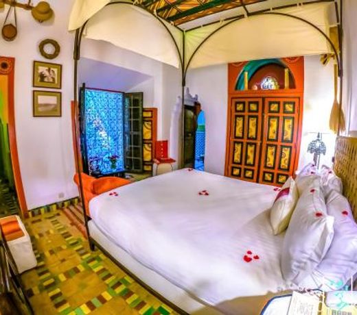 Riad Kaiss By Anika