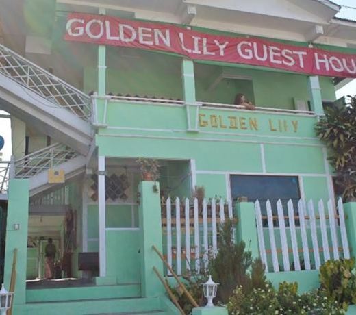 Golden Lily Guest House