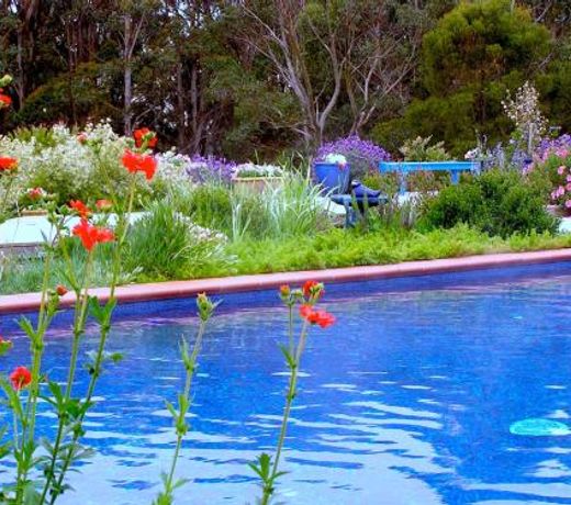 Lemonade Creek Cottages