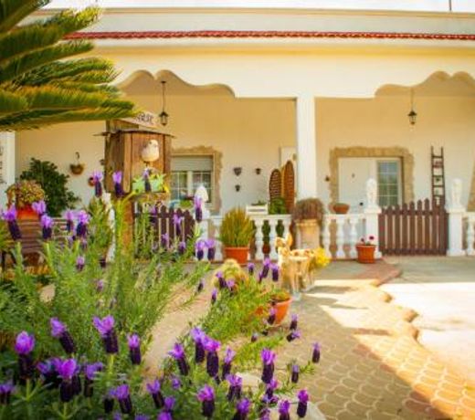 B&B Pietrafitta