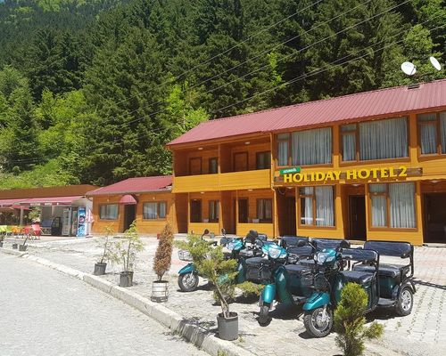 Uzungol Holiday Hotel - Узунгёль - фото 23