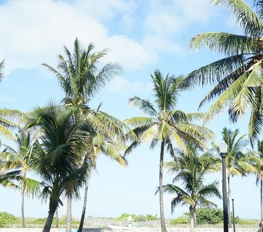 The Netherland By South Beach Vacation Rentals