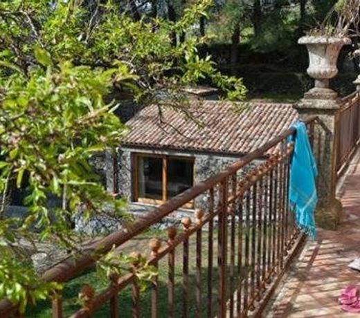 Monaci delle Terre Nere