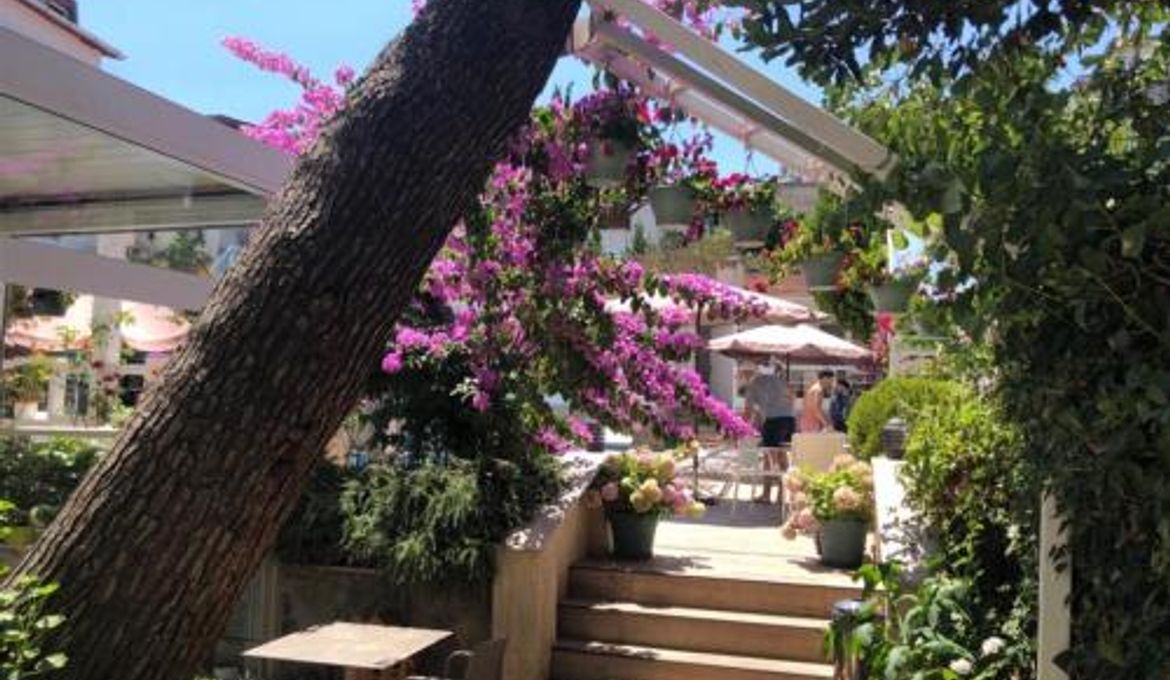Ascot Hotel Buyukada