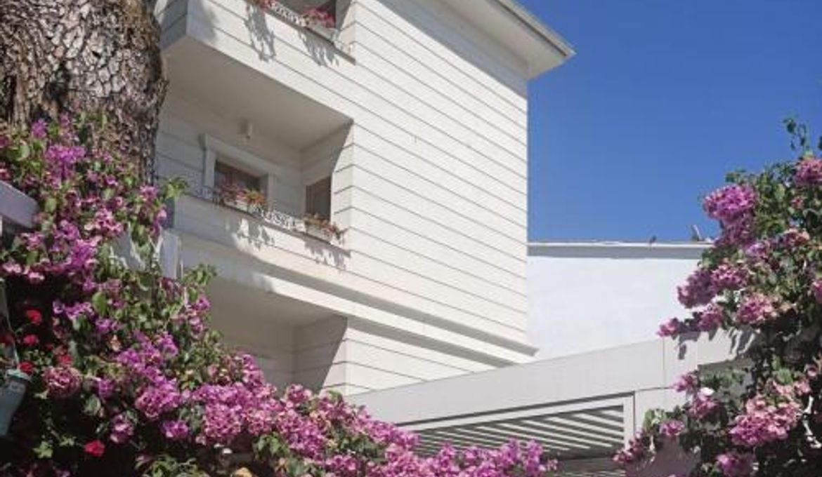 Ascot Hotel Buyukada