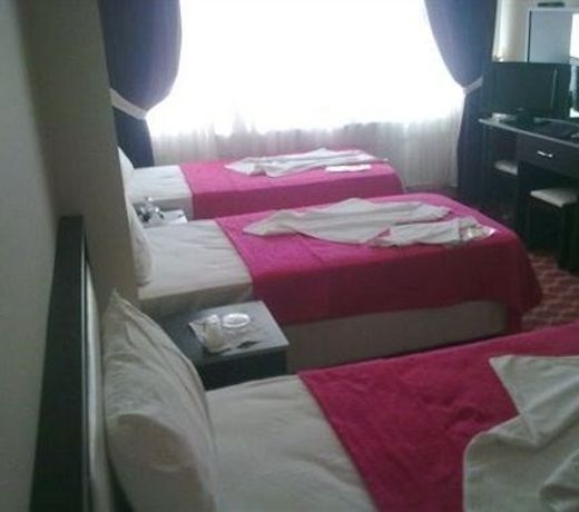 Madi Hotel Van
