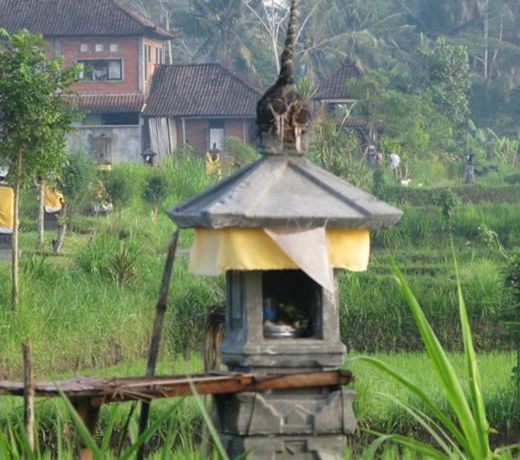 SWALLOW GUESTHOUSE