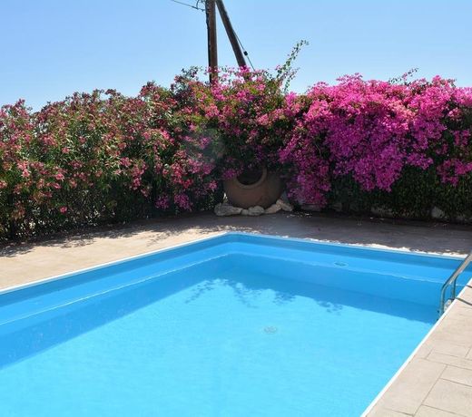 Chrysanthemum Villa