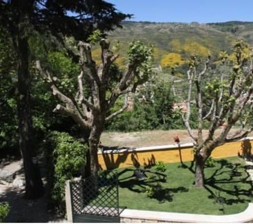 Camping Lamego Douro Valley
