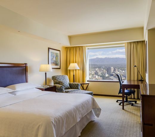 Sheraton Mendoza Hotel