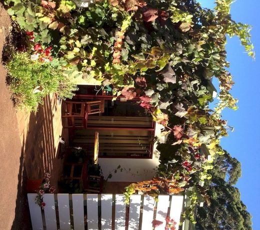 Forest Retreat Bed and Breakfast