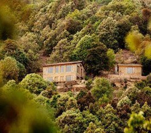 Oak Chalet Mukteshwar