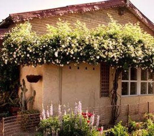 Oak Chalet Mukteshwar