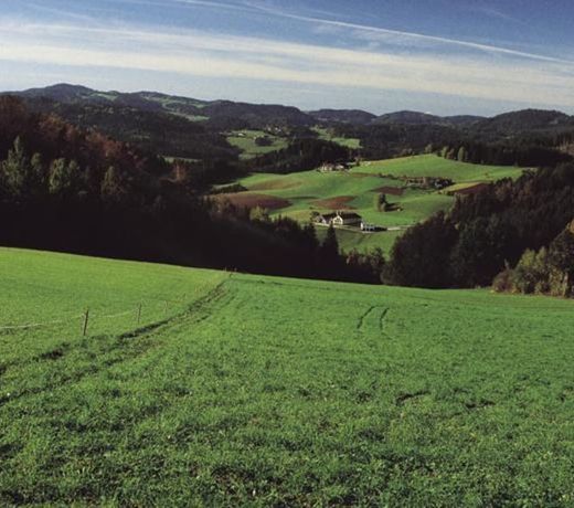 Pension Wolfmayr