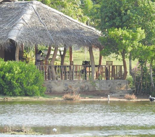 Eagles Nest Cabanas