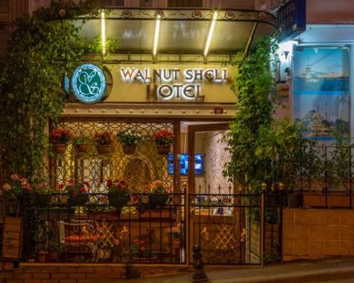 Walnut Shell Hotel Sultanahmet - Стамбул - фото 20