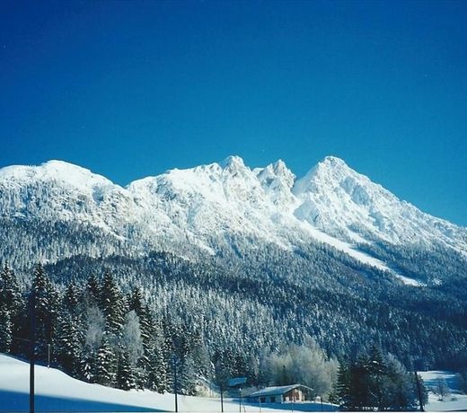 Bauernhof Goingstätthof