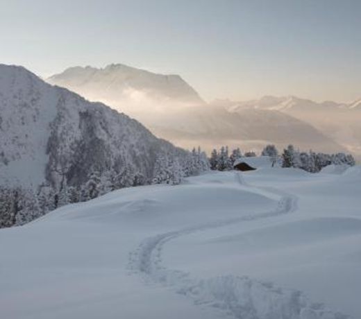 Luxus Chalet Muhlermoos