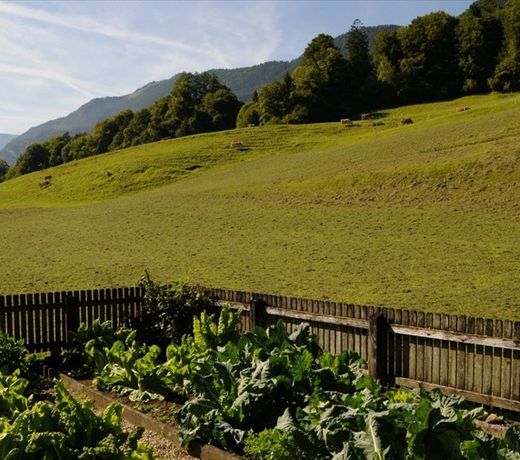 Ferienwohnungen Paulinghof