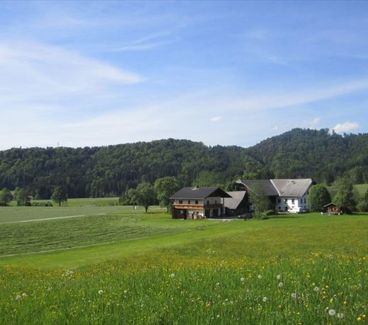 Bauernhof Hofbauer