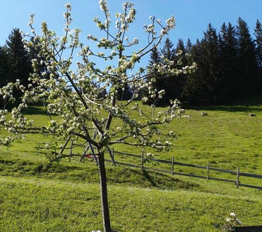 Berghotel Zugspitzblick