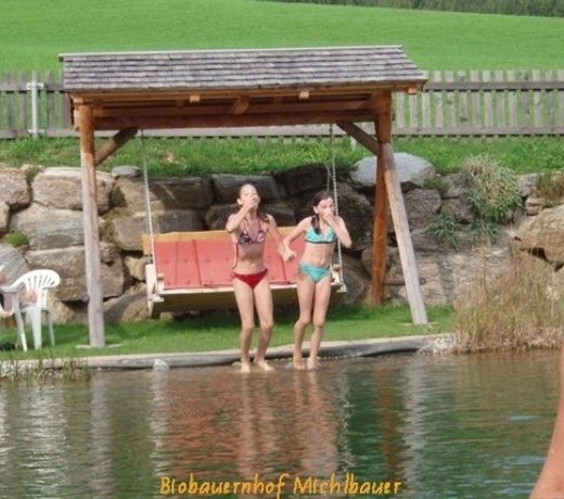 Bauernhof Der Michlbauernhof - Urlaub Mit Herzlichkeit