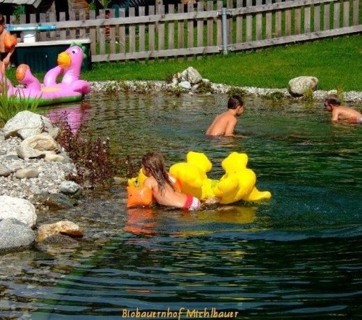 Bauernhof Der Michlbauernhof - Urlaub Mit Herzlichkeit