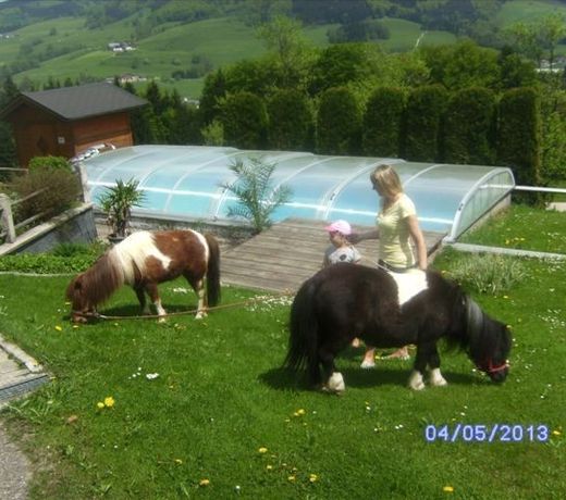 Bauernhof Voischl - Graspointner