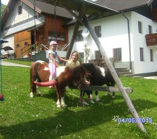 Bauernhof Voischl - Graspointner
