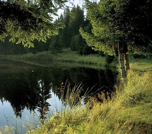 Buhnenwirtshaus Juster Gasthof