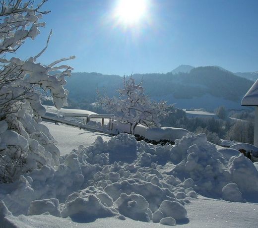 Sonnenschein Kobras Hutte