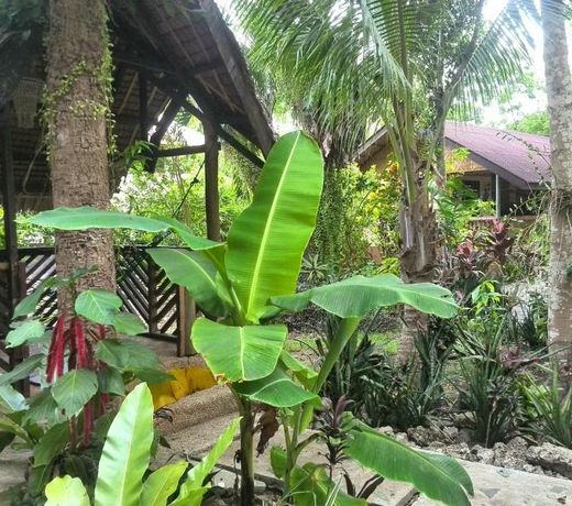 Bananaland Cottages