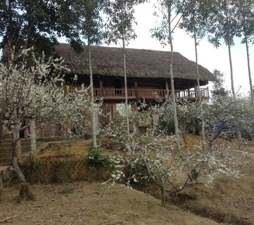 Sa House Bac Ha