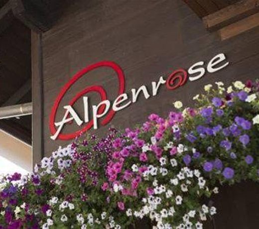 alpenrose hotel-garni