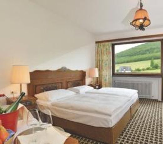 Sauerland Alpin Hotel