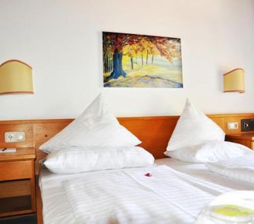 Stammhaus im Hotel Alpine Palace