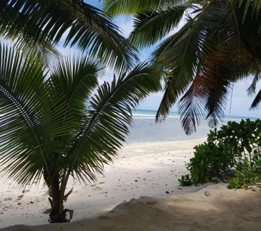 Anse Kerlan Beach Chalets