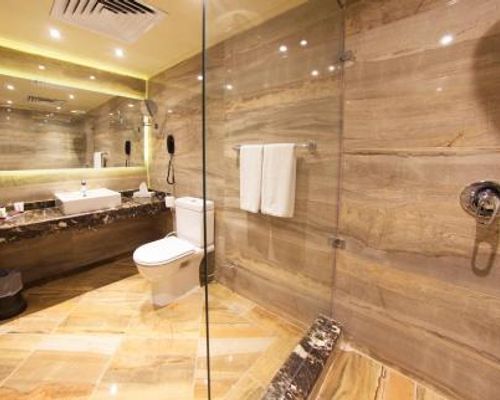 Pyramisa Suites Hotel Cairo - Гиза - фото 10