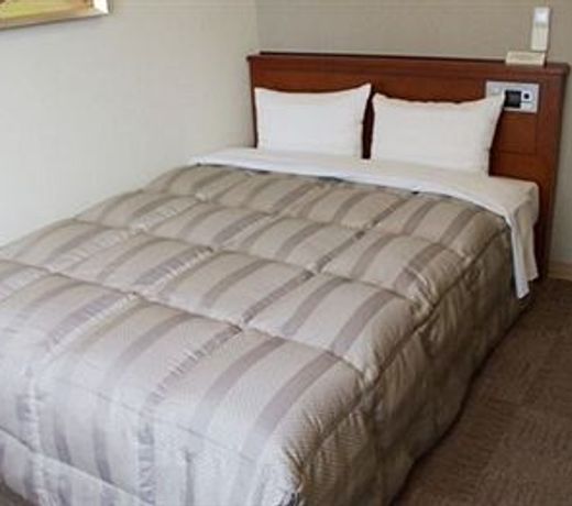 Hotel Route-Inn Koga Ekimae