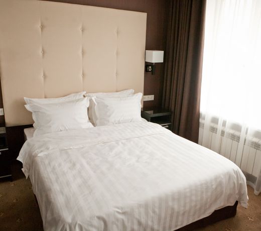 Hotel Metelitsa