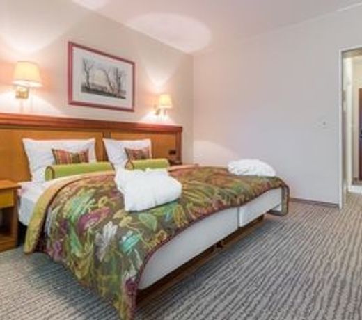 Hotel Engel