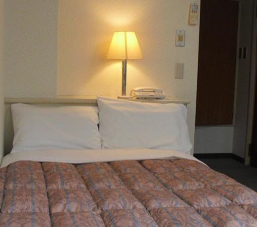Business Hotel Shuttle