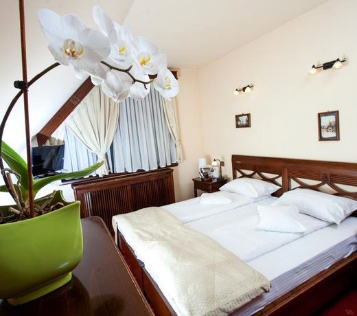 Pension Brasovu Vechi