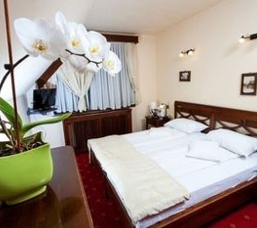 Pension Brasovu Vechi