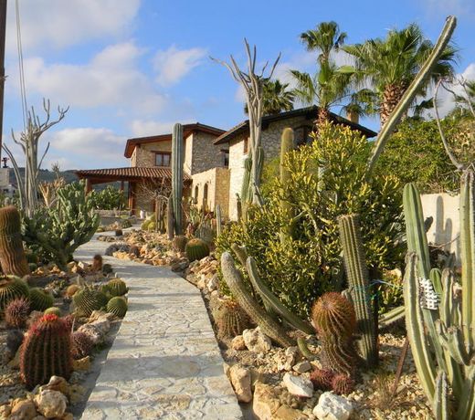 Relais Garden Cactus