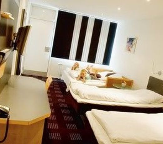 Hotel Hedegaarden