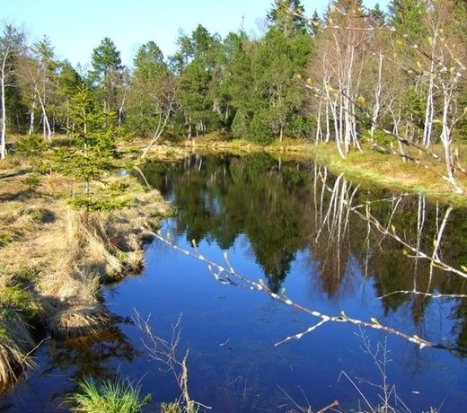 Bauernhof Baldauf Monika U. Egon